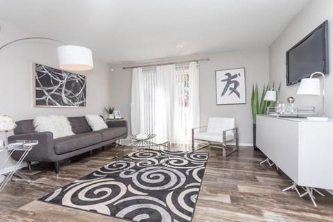 a living room with a gray couch and a black and white rug